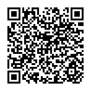 QR Code for Agricultural Modernization, Poverty And Inequality