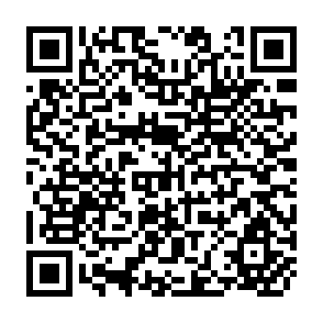 QR Code for Development and Under - Development