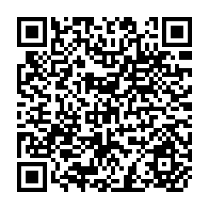 QR Code for Higher Education: Cooperation with Developing Countries