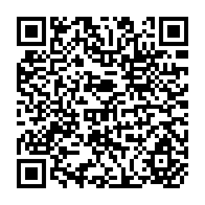 QR Code for The Interpretation of Multiple Observations