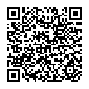 QR Code for Agrarian Structure and Productivity in Developing Countries