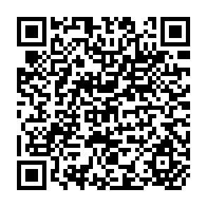 QR Code for Planning Development Project