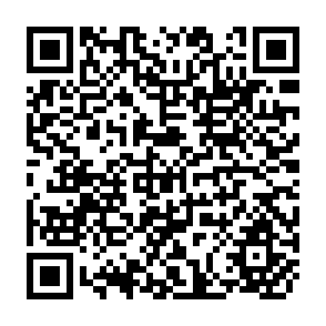 QR Code for Modern Political Economy