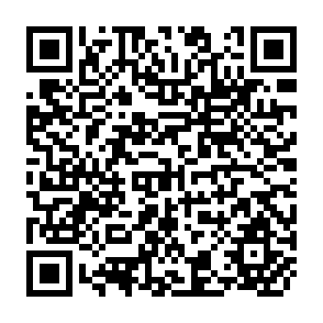 QR Code for The Politics of the Developing areas