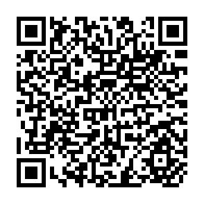 QR Code for A Simple Model of Economic Growth and Fuctuations