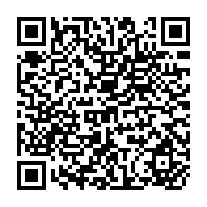 QR Code for Understanding Data