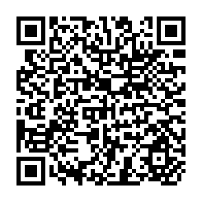 QR Code for Practical Experiences with Modelling and Forecasting Time Series