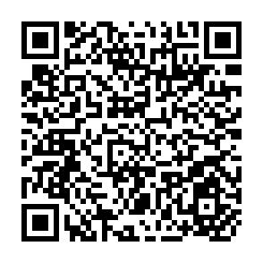 QR Code for Handbook for Information Systems and Services