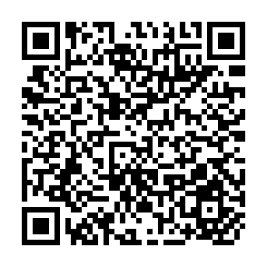 QR Code for Framework for Regional Planning in Developing Countries