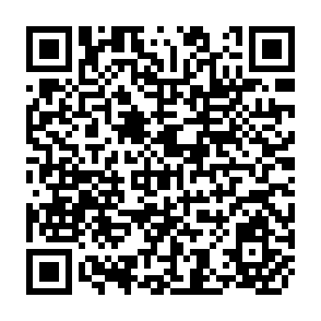 QR Code for The Agrarian Reform in Puglia, Lucania and molise