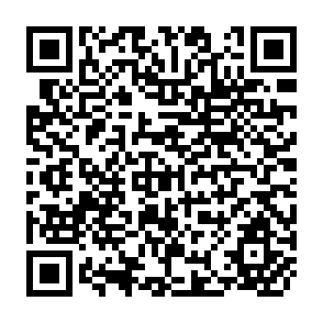 QR Code for Land Reform in Italy