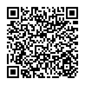 QR Code for Programmer's Introduction