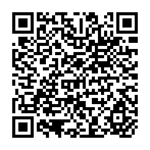 QR Code for National Migration Surveys