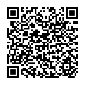 QR Code for National Migration Surveys
