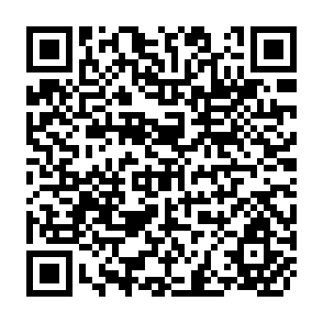 QR Code for National Migration Surveys