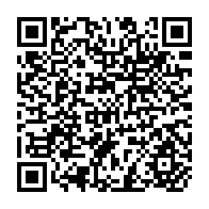 QR Code for Farm Management Analysis of Rice Farming in Southeast Asia: Case Studies in Mekongdelta Chao Pharaya, Java and Sulawesi