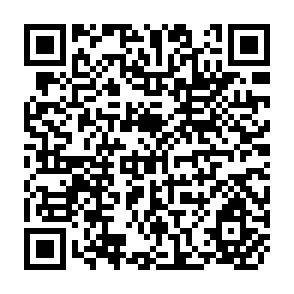 QR Code for The Study of Anthropology