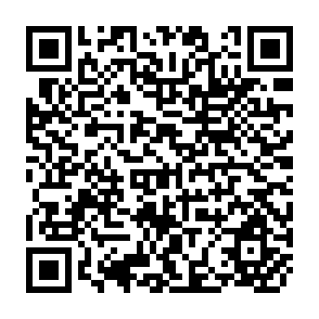 QR Code for Guide to Tools and Equipment for Labouur-based Road Construction
