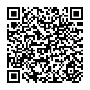 QR Code for Construction of Trail Suspended Bridges in Nepal: An Application of Traditional Technology