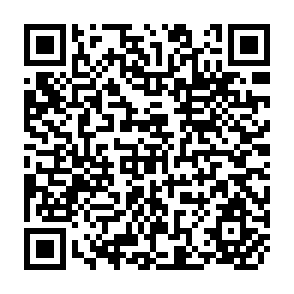 QR Code for Science and Technology for Development: The Evolution of Industry in STPI Countries