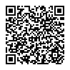 QR Code for Science and Technology for Development