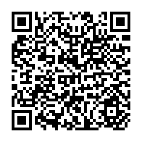 QR Code for Principles of Land Consolidation Legislation