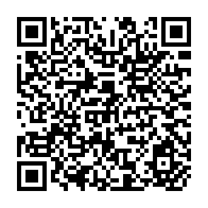 QR Code for Science and Technology for Development: Case Studies on Technical Change