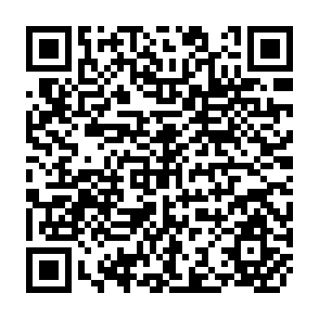 QR Code for The Island States of the Pacific and Indian Oceans: Anatomy of Development