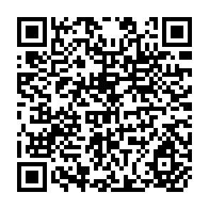 QR Code for The Social Origins of the Sexual Division of Labour