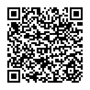 QR Code for Report of the Advisory Committee on Migration and Urbanization on its second Session