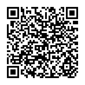 QR Code for Japan's Agricultural Review