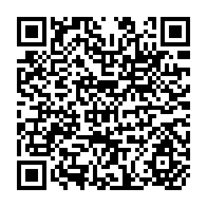 QR Code for The Impact of a Special High-Yielding-Rice Program in Burma