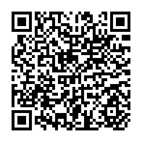 QR Code for The Impact of a Special High-Yielding-Rice Program in Burma