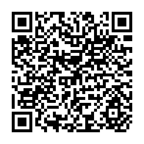 QR Code for The Persistent Rural Crisis in Asia: A Shift in Conception