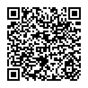QR Code for Penguin Modern Sociology Readings