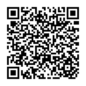 QR Code for Marketing and Distribution