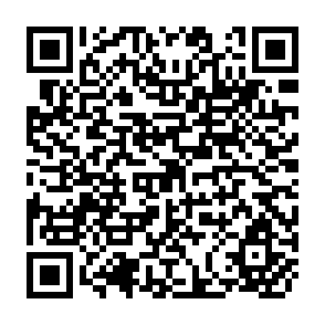 QR Code for Fundamentals of Normal Nutrition