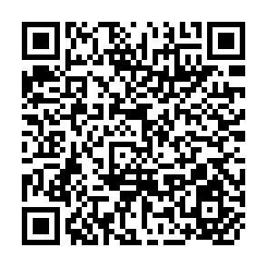 QR Code for The Programmer's RPG