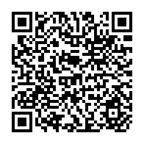 QR Code for World conference on agrarian reform and rural development
