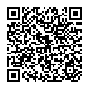 QR Code for World conference on agrarian reform and rural development