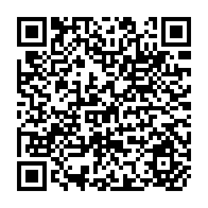 QR Code for World conference on agrarian reform and rural development