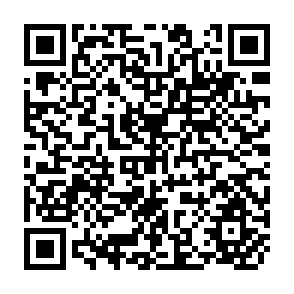 QR Code for Country review paper of japan