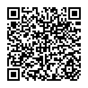 QR Code for Country review paper of china