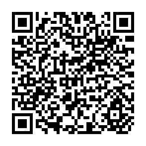 QR Code for Land reform in Hungary,Italy,Yugoslavia,Regional surveys