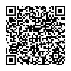 QR Code for Land reform in Brazil,Northeast Cuba Guatemala Mexico