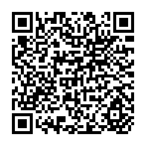 QR Code for The National Economic Environment