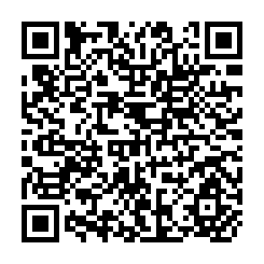 QR Code for International Organizations: Principles and Issues