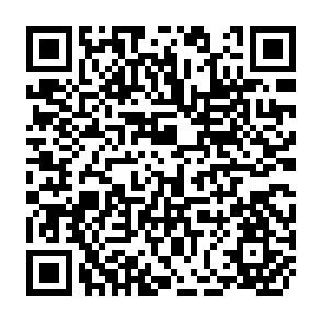 QR Code for The Presentation of Self in Everyday Life