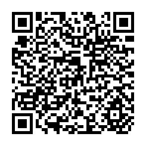 QR Code for Main Currents in Sociological Thought 2