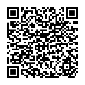 QR Code for World Employment Programme